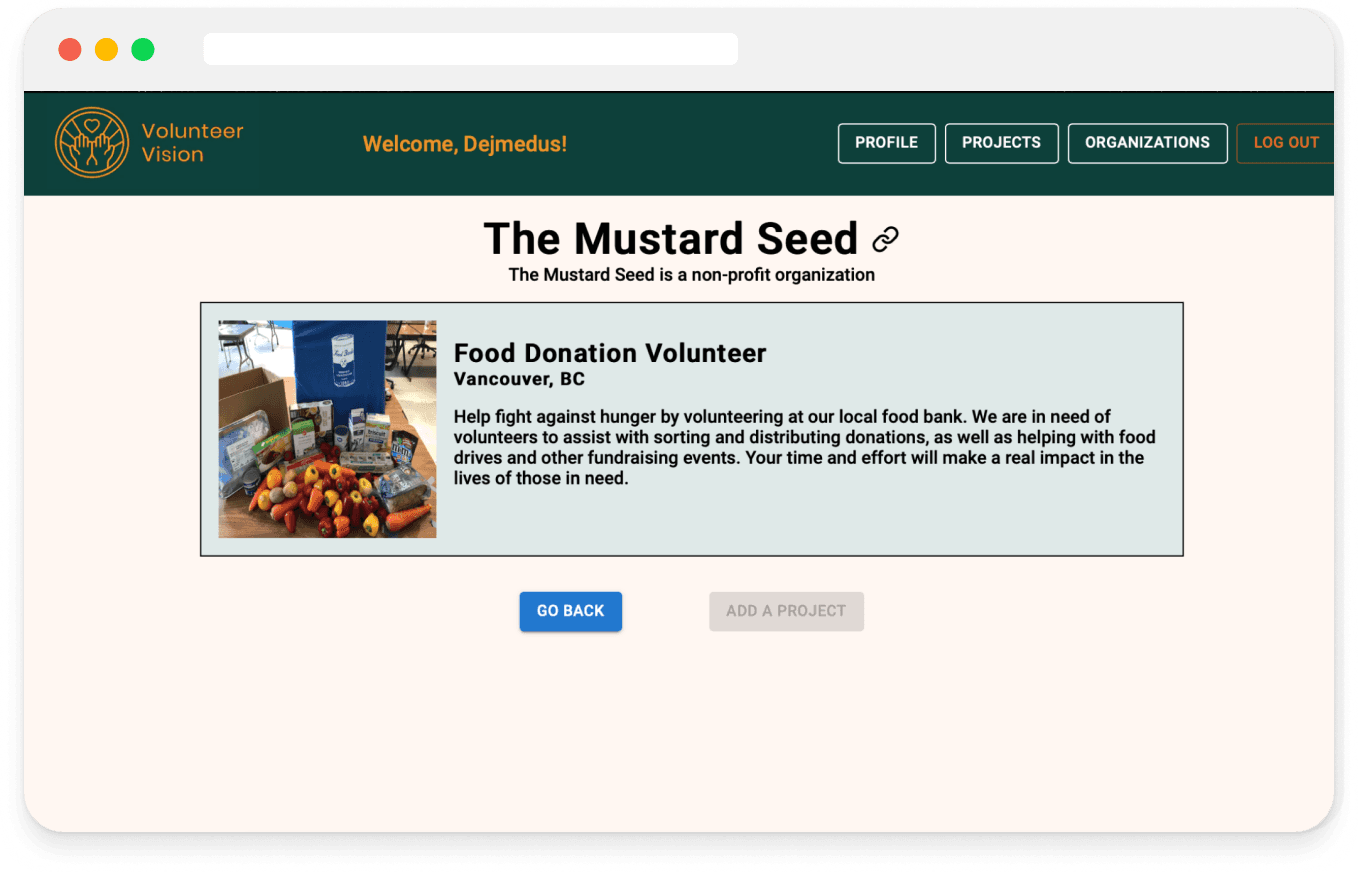 Volunteer Vision